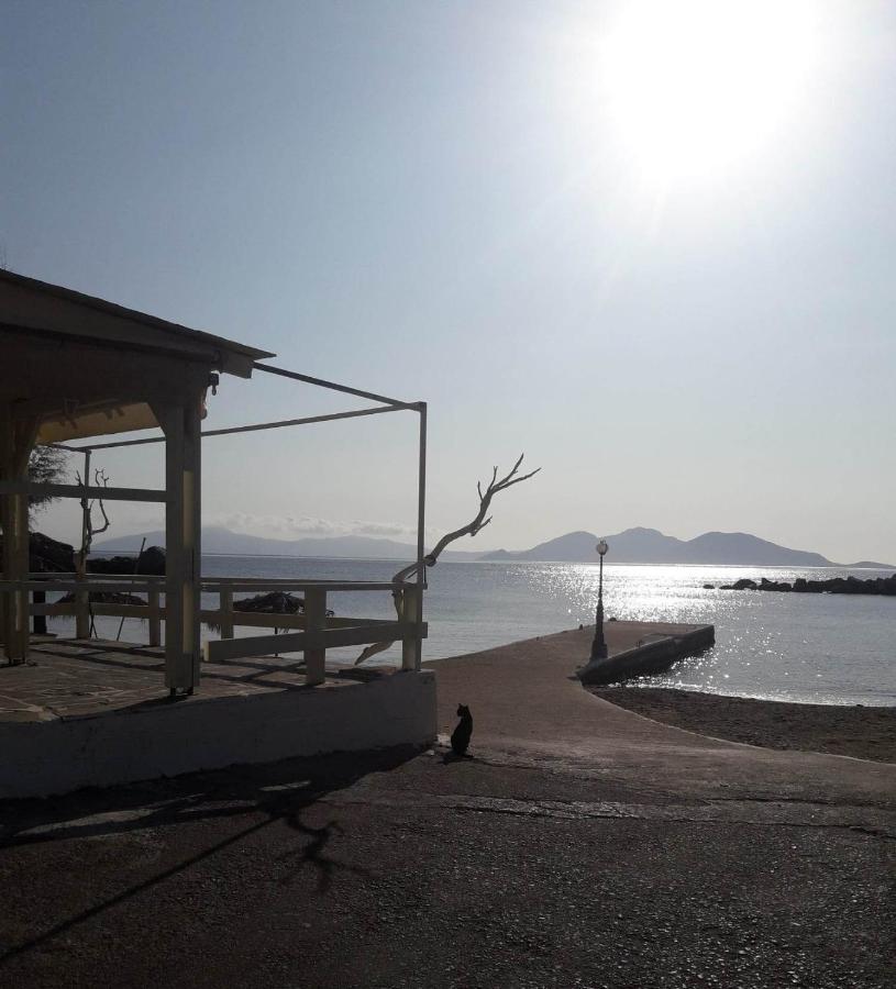 Hotel Rena Ágios Kírykos المظهر الخارجي الصورة
